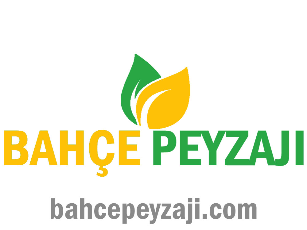 Bahçe Peyzajı